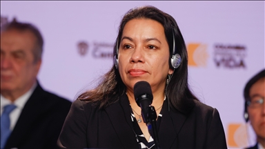 Guyana assumes UN Security Council presidency for June
