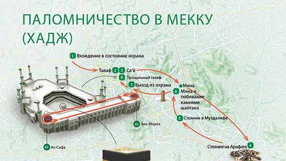 инфографика