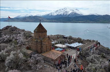 Festival Bunga Almond ke-3 di Van Turkiye