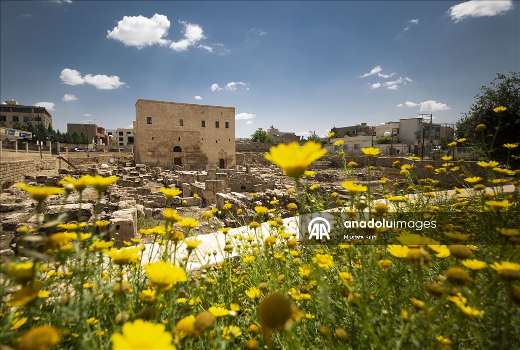 Historical buildings and remains in Mardin's Nusaybin shed light on history