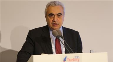 Low oil prices an issue for global oil diversification