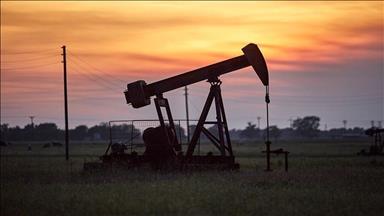 Türkiye's oil imports up 11.08% in February 2024