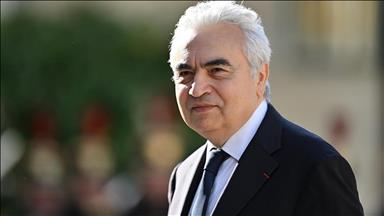 IEA chief calls for action to prevent monopoly in critical mineral supply
